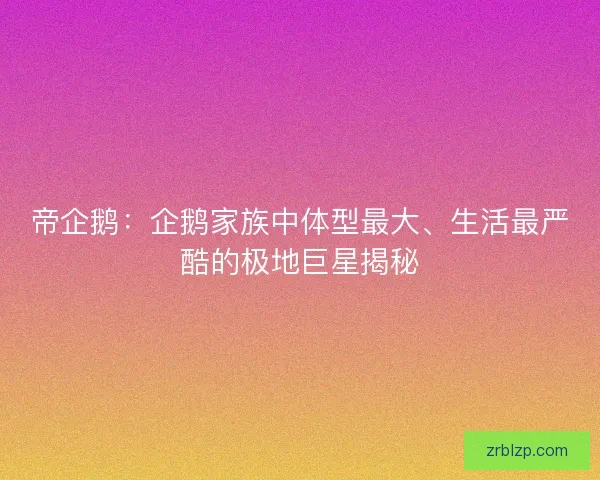 帝企鹅：企鹅家族中体型最大、生活最严酷的极地巨星揭秘