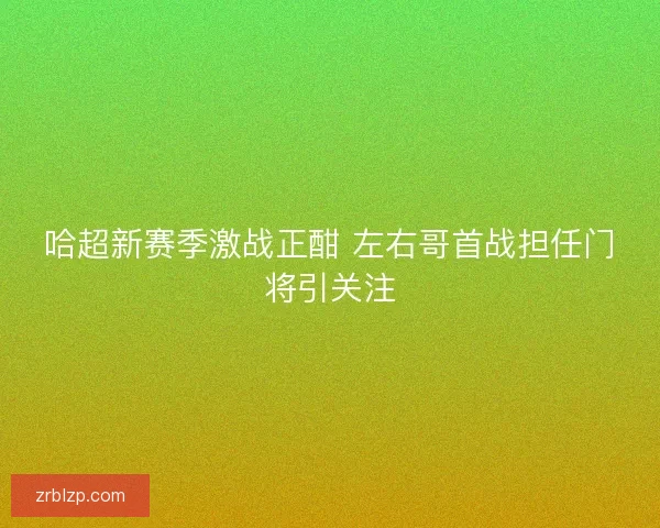 哈超新赛季激战正酣 左右哥首战担任门将引关注 哈超新赛季激战正酣 左右哥首战担任门将引关注